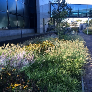 Achmea-Zeist