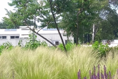 Bedrijfstuin Malden
