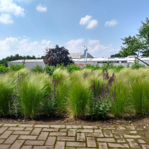 Bedrijfstuin Malden
