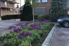 Centrum Kesteren