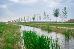 PARK 15  Oosterhout