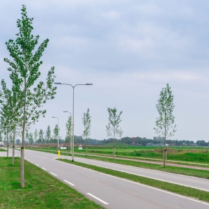 Otto_en_Doeleman01