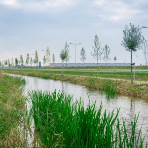 PARK 15  Oosterhout