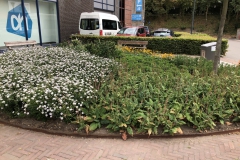 Plantvak Renkum