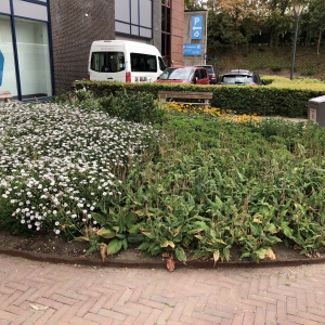 Gemeente-Renkum