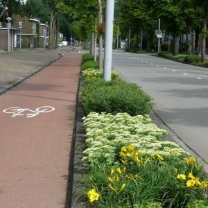 Maxwellstraat-3