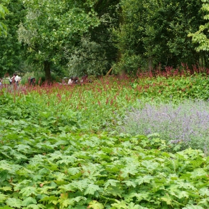 Oosterpark-1-1