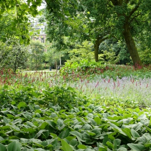 Oosterpark-3