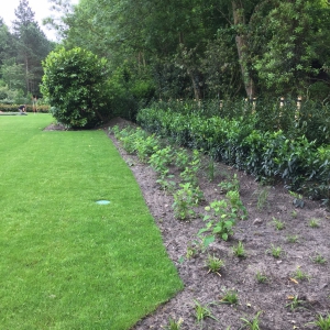 Habo-Tuin-Burg-Haamstede-1-e1536753617486