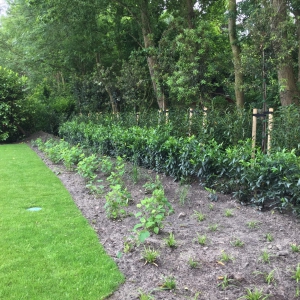 Habo-Tuin-Burg-Haamstede2