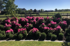 Tuin Kootwijkerbroek
