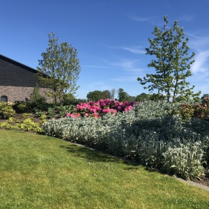 Kootwijkerbroek