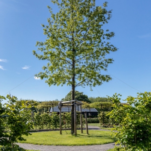 Kootwijkerbroek3