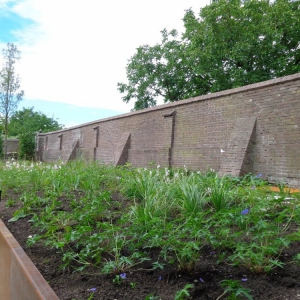 Tuinrenovatie-Rumpt-1