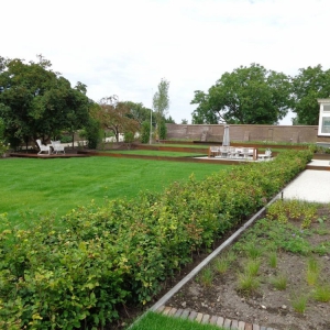 Tuinrenovatie-Rumpt-2-1