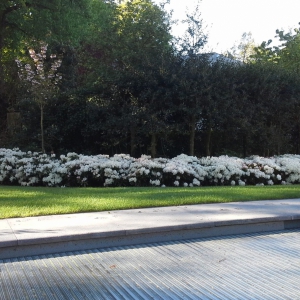 Wassenaar-3