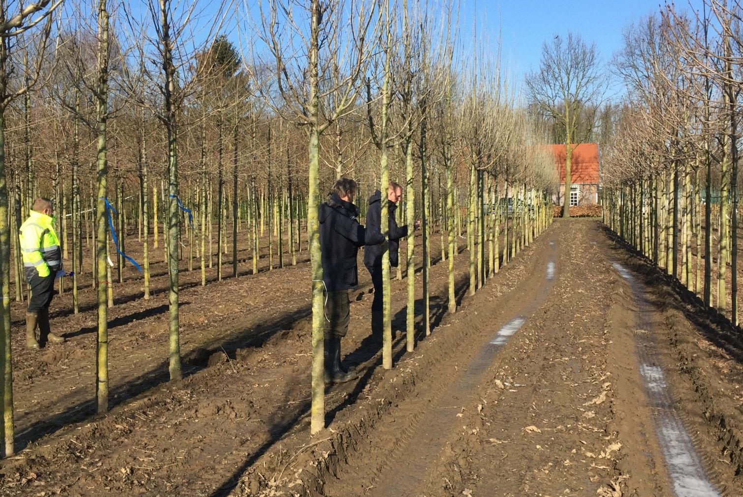 Bomen-merken-1-e1632722744985