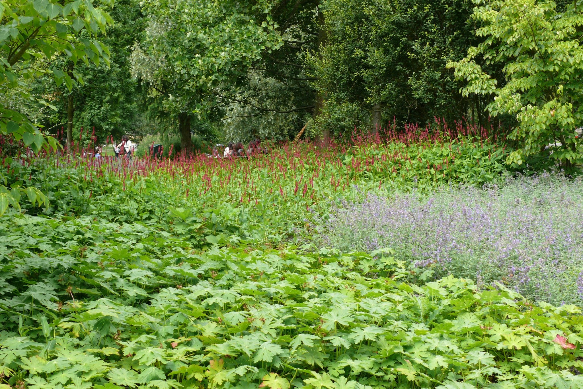 Oosterpark-1
