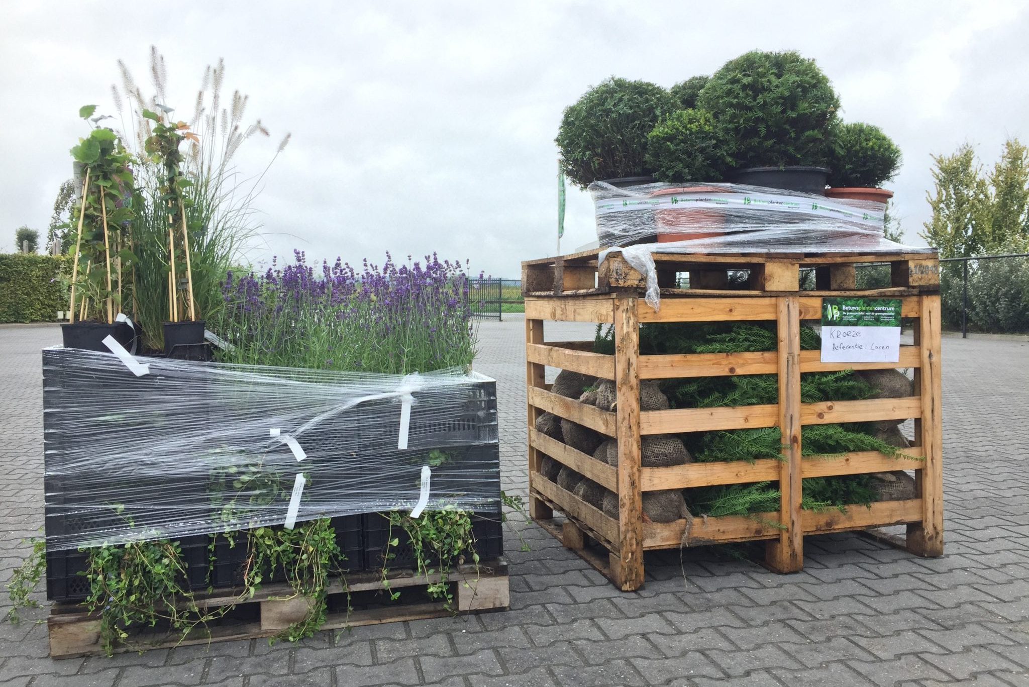 Order-die-klaar-staat-e1632491929957